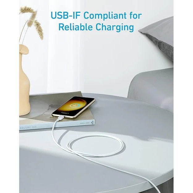 Anker 310 USB-C to USB-C Cable 60W Fast Charging